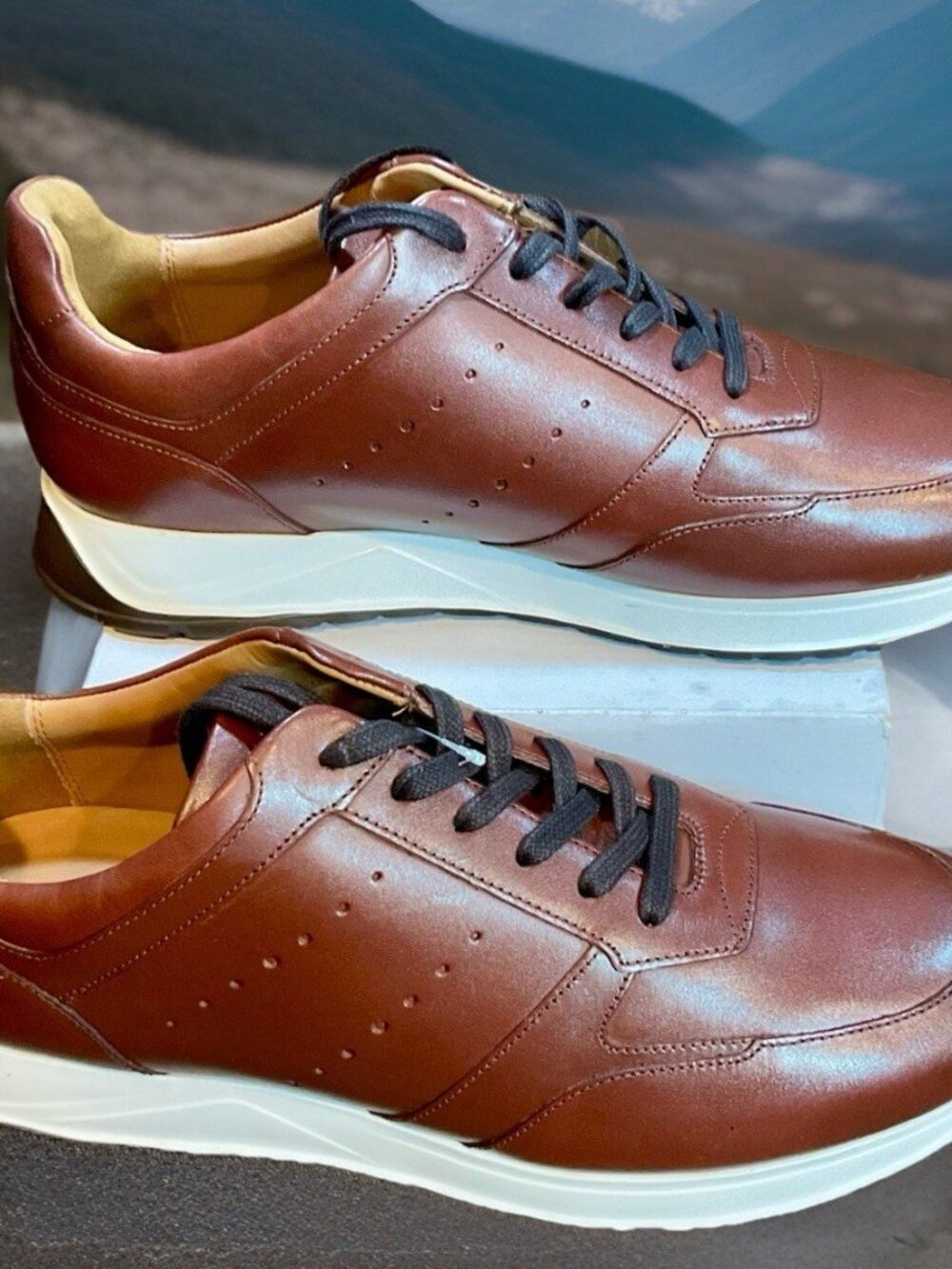 Allen Edmonds Everett Slip On Sneakers Mens 10.5D Chili Brown Leather Shoes